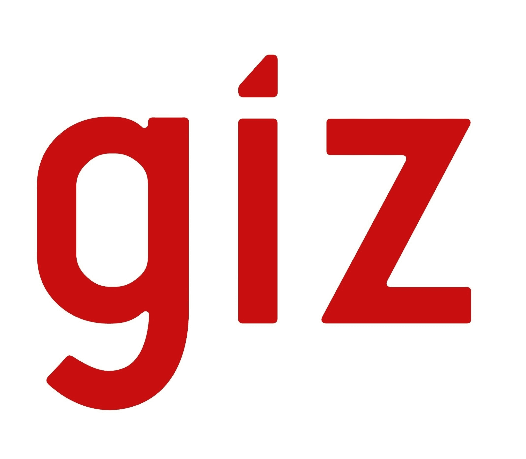 GIZ logo